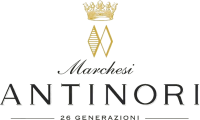 Logo 3